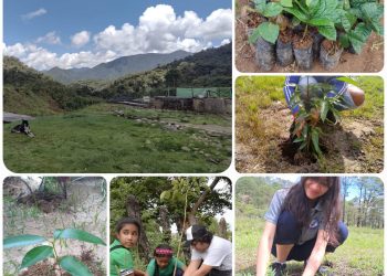 Primera Jornada de Restauración Ecológica Por La Vida y la Biodiversidad en Paujil Caquetá