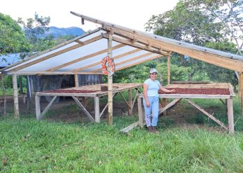 COCAREP de Puerto Rico único por Caquetá entre los 10 finalistas del concurso Cacao de Oro 2023