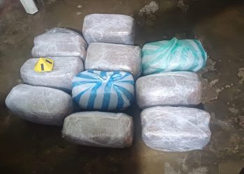 Departamento de Policía Caquetá allanó vivienda donde comercializaban alucinógenos, cerca de entornos educativos de Florencia.