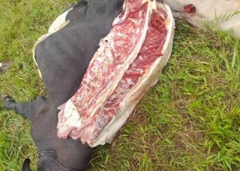 Se realizó en Florencia la segunda sesión del Consejo Municipal de Política Social (COMPOS)