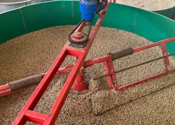 EL CAFÉ DEL CAQUETÁ TIENE ALTA CALIDAD COMO PARA COMPETIR A NIVEL NACIONAL E INTERNACIONAL.