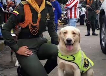 TERMINÓ EL CICLO DE SERVICIO A LA PATRIA DEL CANINO ANIEXPLOSIVOS, NEX.