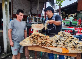 LOS  VENDEDORES DE PESCADO DE EL DONELLO, ESTÁN COMPROMETIDOS CON LA CALIDAD SANITARIA.