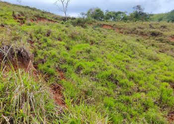 MOVIMIENTO EN MASA DE LADERA DEL RIO DOMCELLO, EN LA VEREDA ALTO SAN PEDRO, MANTIENE EN ALERTA A LAS COMUNIDADES.