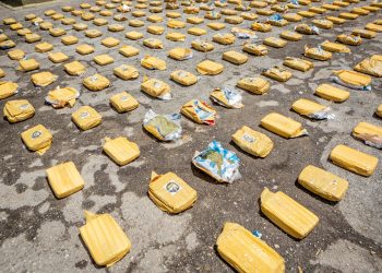 TROPAS DE LA NOVENA BRIGADA DEL EJÉRCITO INCAUTARON CARGAMENTO DE MARIHUNA EN ALGECIRAS, HUILA.
