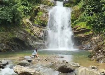 CAPACITACIÓN EN EL DONCELLO SOBRE  REGISTRO NACIONAL DE TURISMO PARA COMERCIANTES.