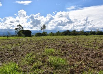 GANADEROS DE ALBANIA, CAQUETÁ, LE APUNTAN A  NUEVAS TÉCNICAS AGROPECUARIAS.