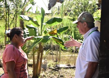 EL MUNICIPIO DE CURILLO, UNO DE LOS MÁS AFFECTADOS POR EL INVIERNO