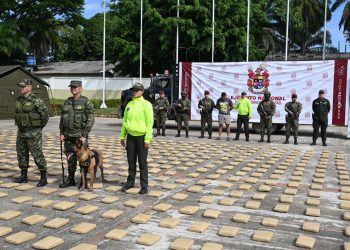 EN UNA OPERACIÓN COORDINADA ENTRE EL EJÉRCITO Y LA POLICÍA, INCAUTARON CERCA DE TRES TONELADA DE MARIHUANA EN LA VÍA SUAZA-FLORENCIA.