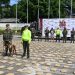 EN UNA OPERACIÓN COORDINADA ENTRE EL EJÉRCITO Y LA POLICÍA, INCAUTARON CERCA DE TRES TONELADA DE MARIHUANA EN LA VÍA SUAZA-FLORENCIA.