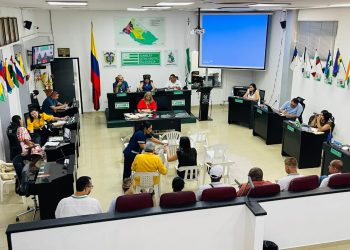 ASAMBLEA DEPARTAMENTAL DEL CAQUETÁ CITARÁ A DIRECTORA DE LAS TIC PARA RENDIR INFORME SOBRE TORRES DE COMUNICACIÓN.