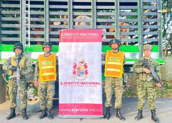 EL EJJERCITO RESCATÓ EN SAN VICENTE DEL CAGUÁN 90 SEMOVIENTES BOVINOS QUE ERAN TRANSPORTDOS DE FORMA ILEGAL.