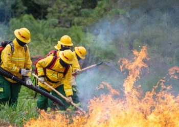 ORGANISMOS DE SOCORRO ALERTAN POR QUEMAS DESCONTROLADAS Y AUMENTO DE EMERGENCIAS EN ZONA LIMÍTROFE RURAL ENTRE EL DONCELLO Y EL PAUJIL.