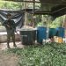 EL EJÉRCITO DESTRUYÓ 22 LABORATORIOS PARA EL PROCESAMIENTO DE PASTA DE COCA EN PUTUMAYO.