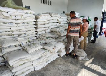 ORGANIZACIÓN CACAOTERA IMPULSA FORTALECIMIENTO PRODUCTIVO EN CAQUETÁ CON APOYO DEL MINISTERIO DE AGRICULTURA Y LA ONU.