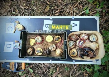 EL EJÉRCITO DESTRUYÓ 17 EXPLOSIVOS OCULTOS EN VIVIENDA DEL CORREGIMIENTO SAN PEDRO, EN FLORENCIA.
