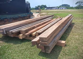 MÁS DE 100 TROZAS DE MADERA FUERON INCAUTADAS EN UN PUESTO DE CONTROL MILITAR EN CARTAGENA DEL CHAIRÁ.