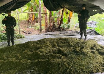 EL EJÉRCITO DESTRUYÓ DOS LABORATORIOS PARA EL PROCESAMIENTO DE BASED E COCAINA EN EL PUTUMAYO.