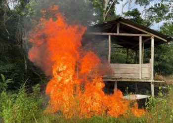 TROPAS DE LA VIGÉSIMA SÉPTIMA BRIGADA HAN DESTRUIDO MÁS DE 190 LABORATORIOS EN EL PRIMER TRIMESTRE DEL 2026 EN EL PUTUMAYO.