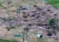 DESALOJO PACÍFICO EN ASENTAMIENTOS DE SAN VICENTE DEL CAGUÁN PERMITIÓ RECUPERAR TERRENO OCUPADO