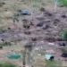 DESALOJO PACÍFICO EN ASENTAMIENTOS DE SAN VICENTE DEL CAGUÁN PERMITIÓ RECUPERAR TERRENO OCUPADO