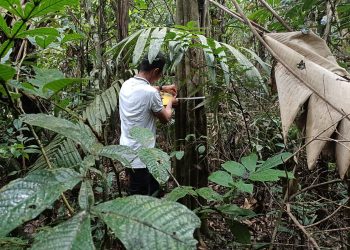INICIÓ EL PLAN DE MANEJO FORESTAL EN AGUA BONITA