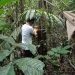 INICIÓ EL PLAN DE MANEJO FORESTAL EN AGUA BONITA