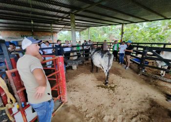 PROPIETARIO DE LA GANADERÍA SANTA MARÍA INTERCAMBIÓ EXPERIENCIAS CON GANADEROS DE LA ZONA NORTE DEL CAQUETÁ.