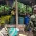 EL EJÉRCITO INCAUTÓ INSUMOS PARA EL PROCESAMIENTO DE NARCÓTICOS EN EL DEPARTAMENTO DEL PUTUMAYO.