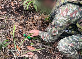 EJÉRCITO NACIONAL DESTRUYÓ DISPOSITIVOS EXPLOSIVOS IMPROVISADOS INSTALADOS POR DISIDENCIAS DE LAS FARC.