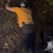 MOTOTAXISTA DE EL DONCELLO PERDIÓ LA VIDA EN ACCIDENTE DE TRÁNSITO.