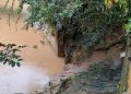 HABITANTES ALERTAN POR EL DETERIORO DEL PUENTE LAS CEIBAS EN LA VÍA SAN VICENTE DEL CAGUÁN–PUERTO RICO.