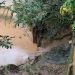 HABITANTES ALERTAN POR EL DETERIORO DEL PUENTE LAS CEIBAS EN LA VÍA SAN VICENTE DEL CAGUÁN–PUERTO RICO.