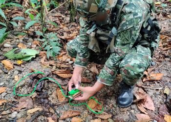EJÉRCITO NACIONAL DESTRUYÓ DEPÓSITO ILEGAL CON 50 MINAS ANTIPERSONAL Y MATERIAL DE GUERRA EN PUTUMAYO.
