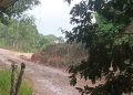 COMUNIDAD DE MATEGUADUA EN ALERTA POR GRAVE DETERIORO DE LA VÍA HACIA SAN ANTONIO DE GETUCHÁ.