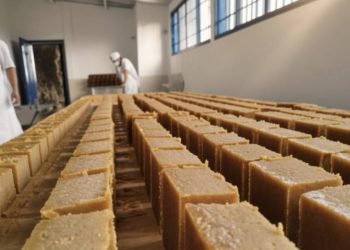 PRODUCTORES DE PANELA DEL CAQUETÁ ALERTAN POR POSIBLE INGRESO DE PRODUCTO ADULTERADO.